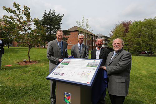 Opening of Cherry Collection